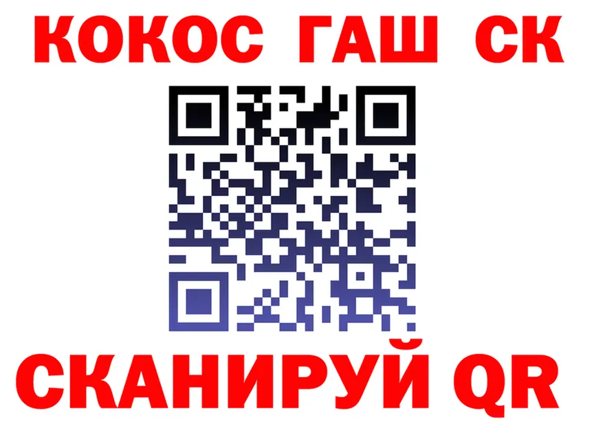 A PVP СК ссылка маркетплейс OMG Волгореченск