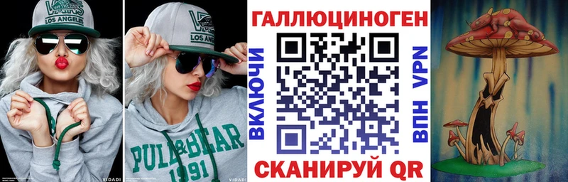 Галлюциногенные грибы Psilocybine cubensis  Волгореченск 